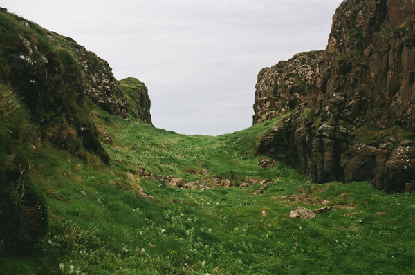 Grass between two rocks