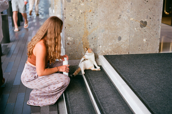 Lauren with street kitty on steps